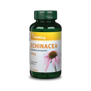 Echinacea