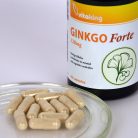 Ginkgo Biloba Forte 120mg