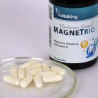 MagneTrio (90)